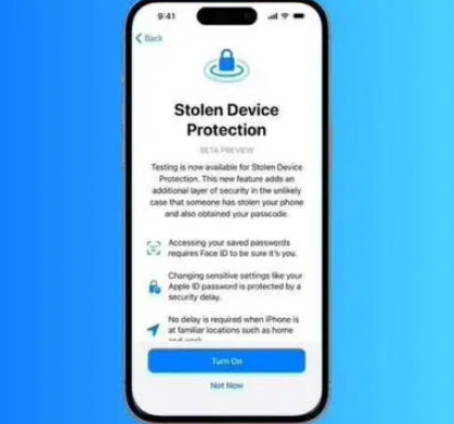 博尔塔拉苹果授权维修店分享被盗设备保护功能开启方法 