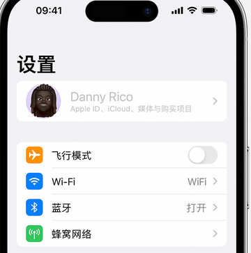 博尔塔拉appleID维修服务iPhone设置中Apple ID显示为灰色无法使用 