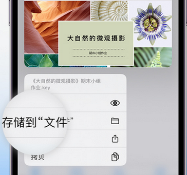 博尔塔拉apple维修中心分享iPhone文件应用中存储和找到下载文件