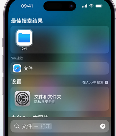 博尔塔拉apple维修中心分享iPhone文件应用中存储和找到下载文件 