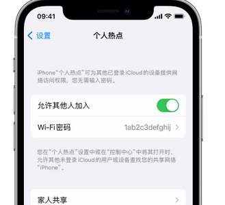 博尔塔拉apple服务站点分享iPhone上个人热点丢失了怎么办 