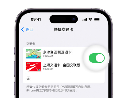 博尔塔拉apple维修点分享iPhone上更换Apple Pay快捷交通卡手绘卡面 