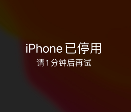 博尔塔拉苹果手机维修分享:iPhone 显示“不可用”或“已停用”怎么办？还能保留数据吗？ 