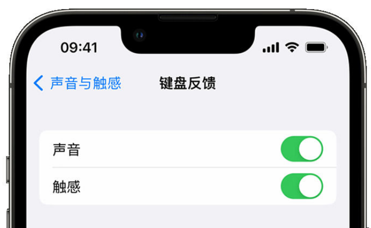 博尔塔拉苹果手机维修分享iPhone 14触感键盘使用方法 