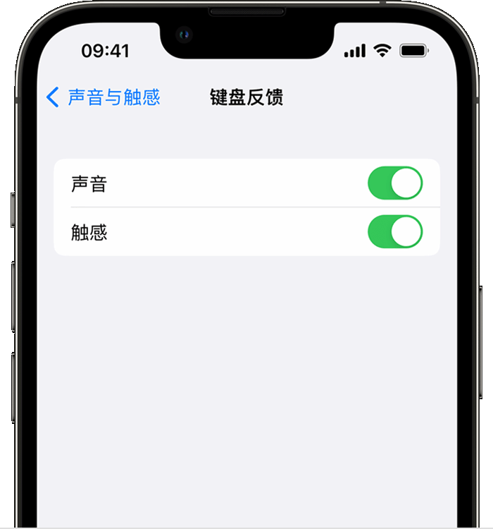 博尔塔拉苹果14维修店分享如何在 iPhone 14 机型中使用触感键盘 