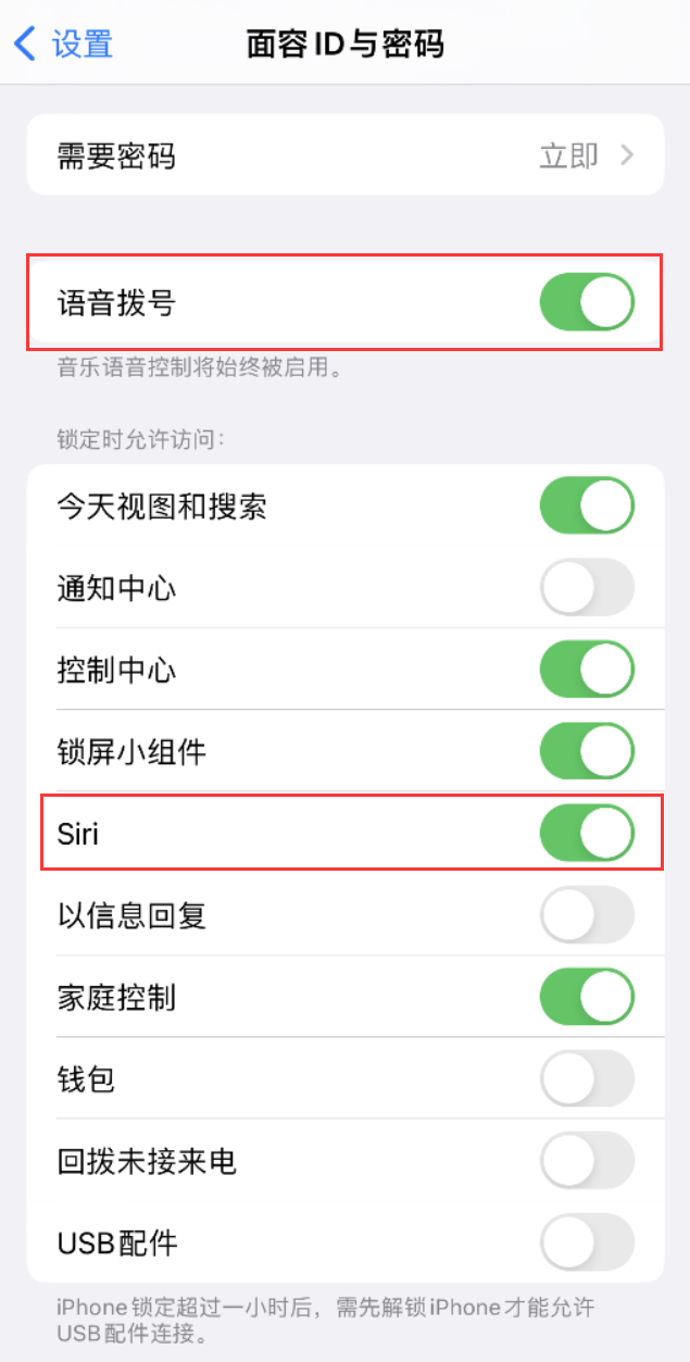 博尔塔拉苹果维修网点分享不解锁 iPhone 的情况下通过 Siri 拨打电话的方法 