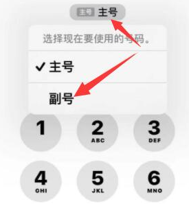 博尔塔拉苹果14维修店分享iPhone 14 Pro Max使用副卡打电话的方法 