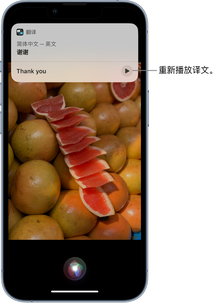 博尔塔拉苹果14维修分享 iPhone 14 机型中使用 Siri：了解 Siri 能帮你做什么 