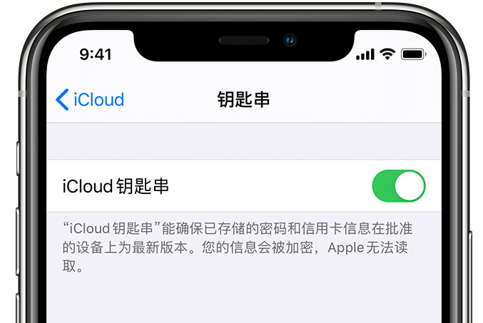 博尔塔拉苹果手机维修分享在 iPhone 上开启 iCloud 钥匙串之后会储存哪些信息 