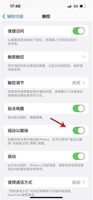 博尔塔拉苹果手机维修分享iPhone手机如何设置摇一摇删除文字 